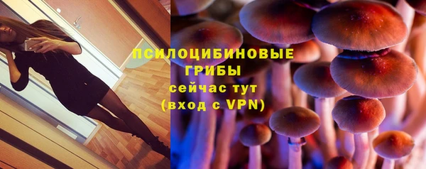мяу мяу мука Алексеевка