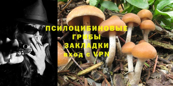 мяу мяу мука Алексеевка